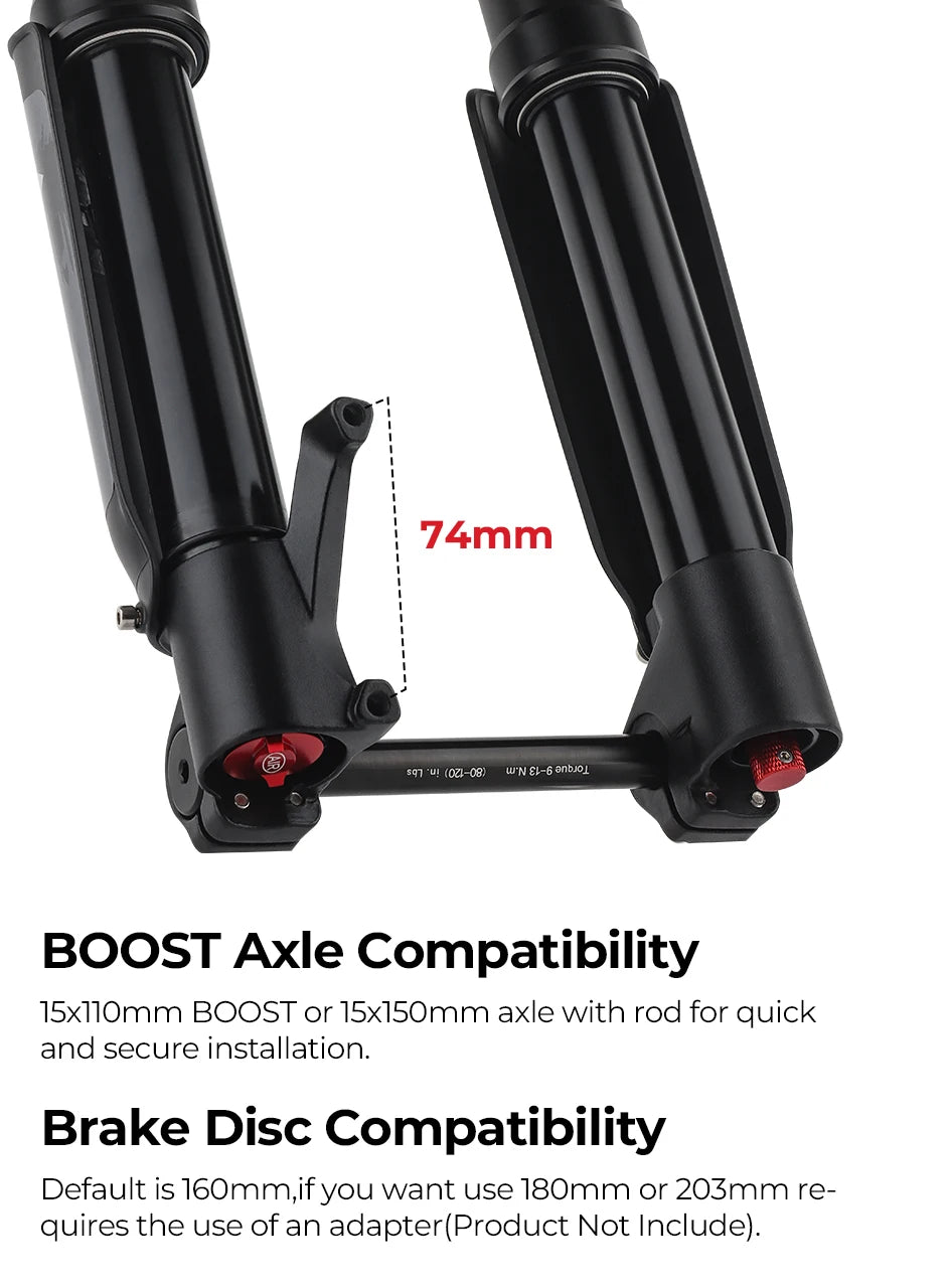 Dual Crown DH Forks