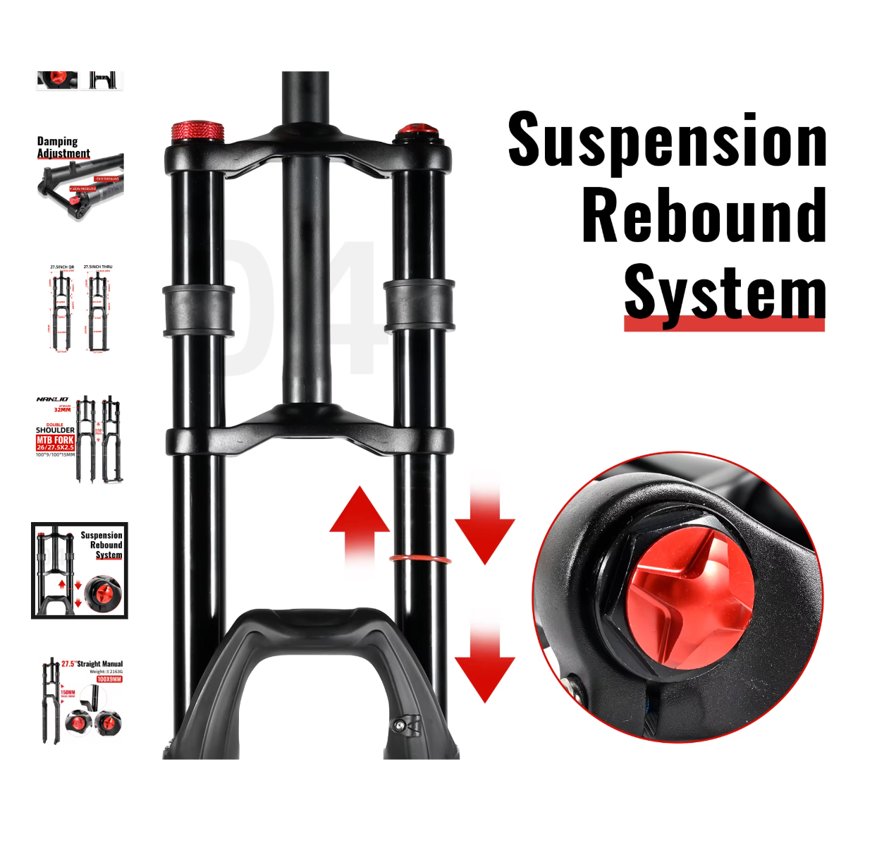 Dual Crown Downhill Forks