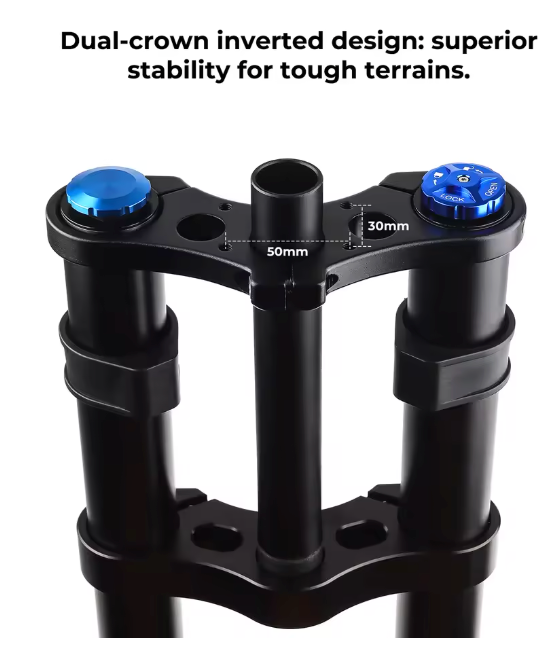Dual Crown DH Forks