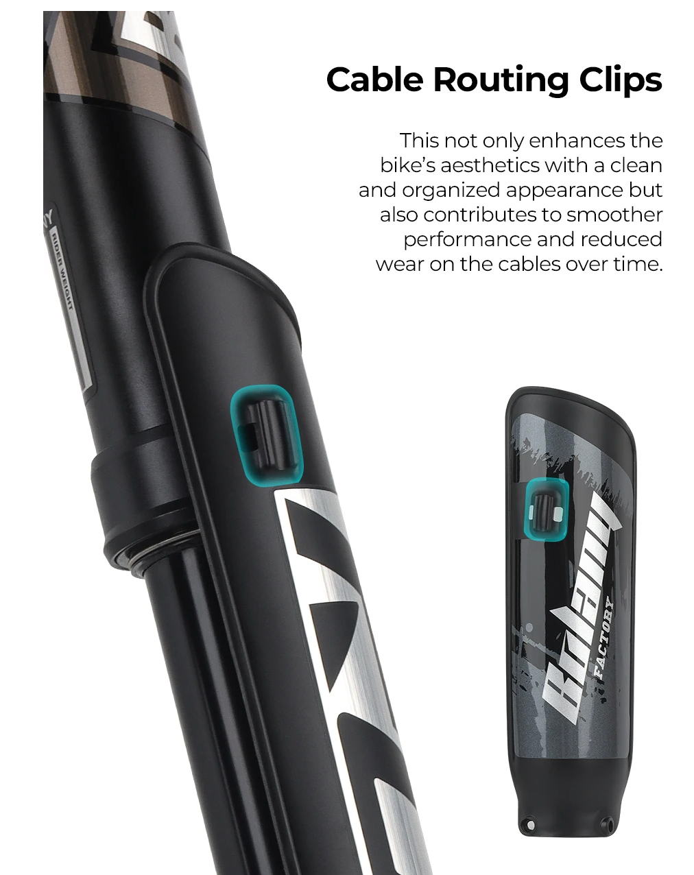 Dual Crown DH Forks